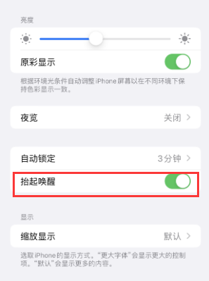 资源苹果授权维修站分享iPhone轻点无法唤醒怎么办