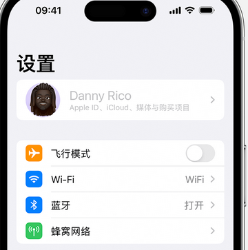 资源appleID维修服务iPhone设置中Apple ID显示为灰色无法使用