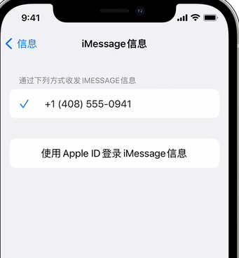 资源apple维修iPhone上无法正常发送iMessage信息