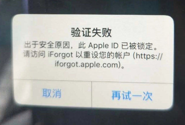 资源iPhone维修分享iPhone上正常登录或使用AppleID怎么办 