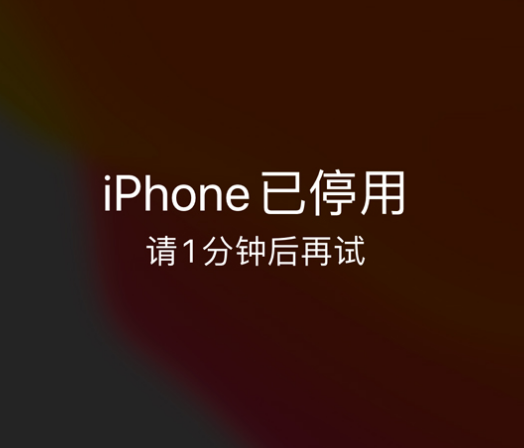 资源苹果手机维修分享:iPhone 显示“不可用”或“已停用”怎么办？还能保留数据吗？ 