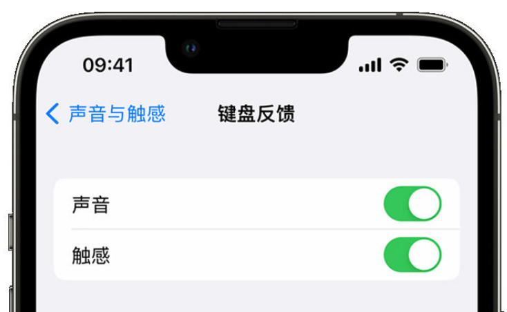 资源苹果手机维修分享iPhone 14触感键盘使用方法 