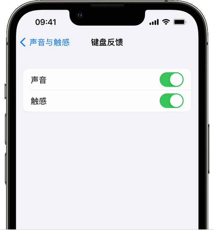 资源苹果14维修店分享如何在 iPhone 14 机型中使用触感键盘 