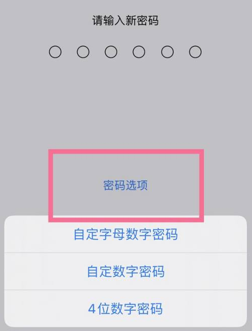 资源苹果14维修分享iPhone 14plus设置密码的方法 