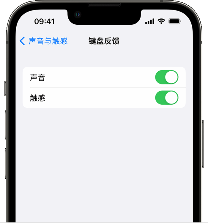 资源苹果14维修分享iPhone 14 系列机型如何开启键盘声音或触感反馈 