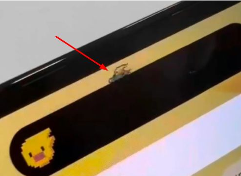 资源苹果14维修分享iPhone 14 Pro Max灵动岛怎么养宠物 