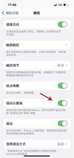 资源苹果手机维修分享iPhone手机如何设置摇一摇删除文字 