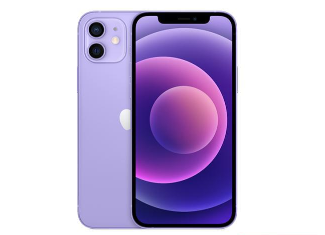 资源苹果手机维修分享现阶段要不要入手紫色版iPhone12 