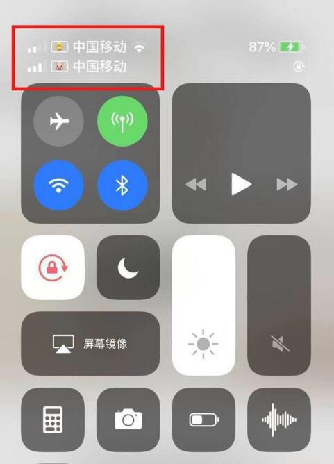 资源苹果手机维修分享为 iPhone 12 双卡设置标签 